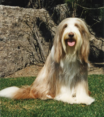 Meggie sitting on the grass before some large rocks, looking like a glamour girl